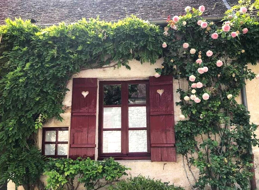 Janela com rosas em Provins, cidade medieval