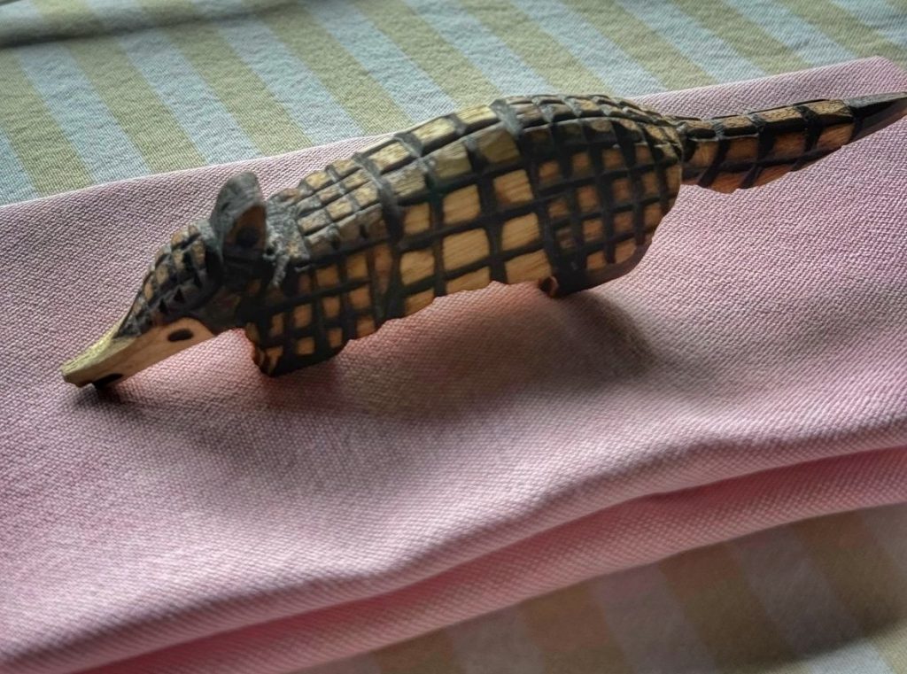 Awasi Iguazú