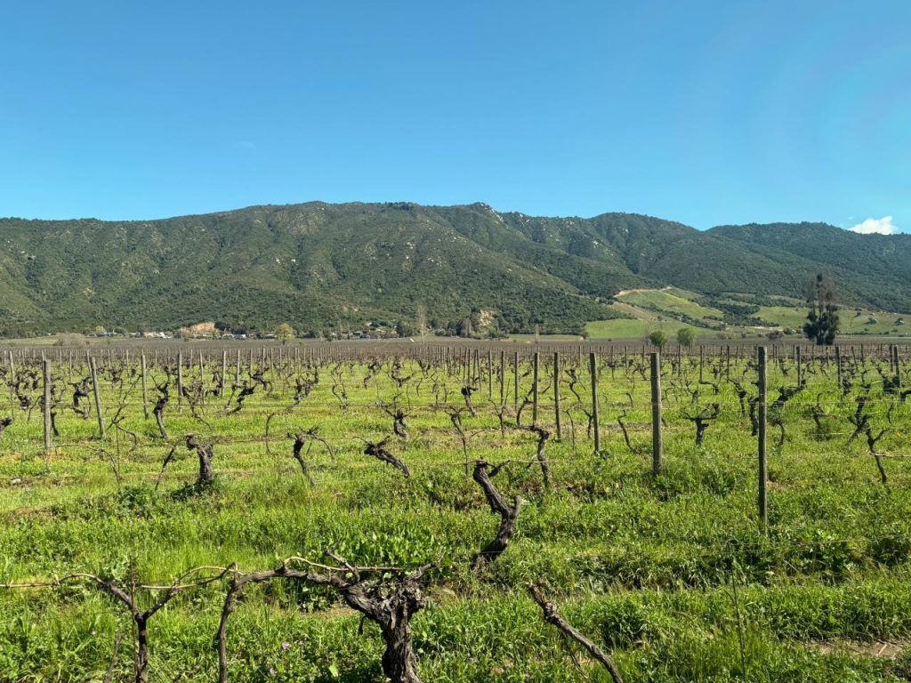 Clos Apalta Residence Chile