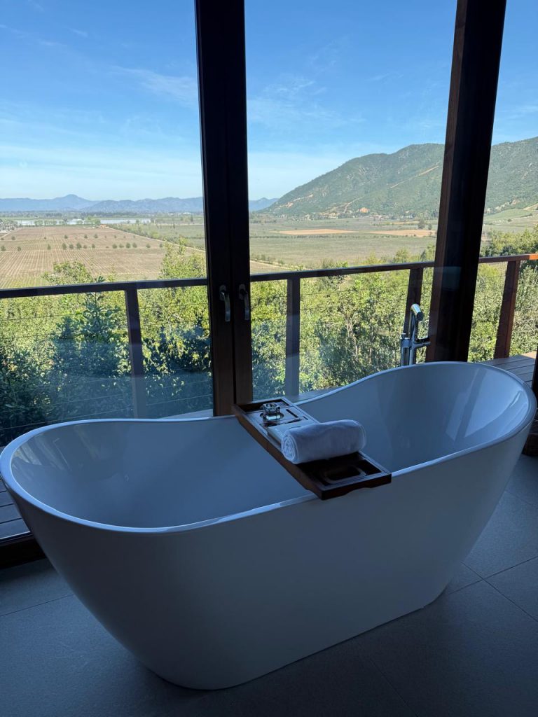 Clos Apalta Residence Chile