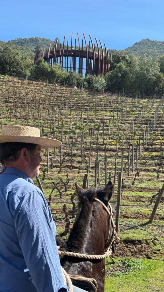 Clos Apalta Residence Chile