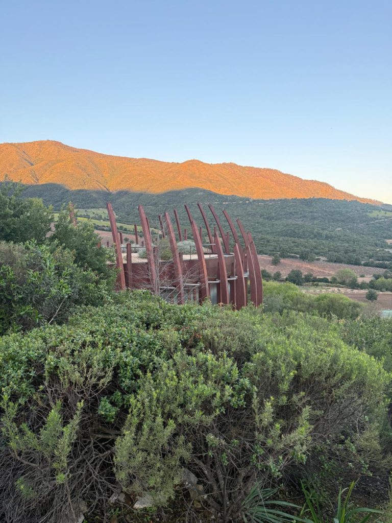 Clos Apalta Residence Chile