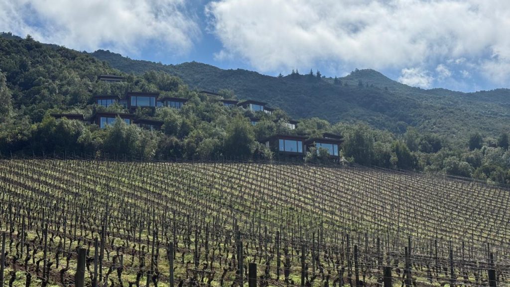 Clos Apalta Residence Chile