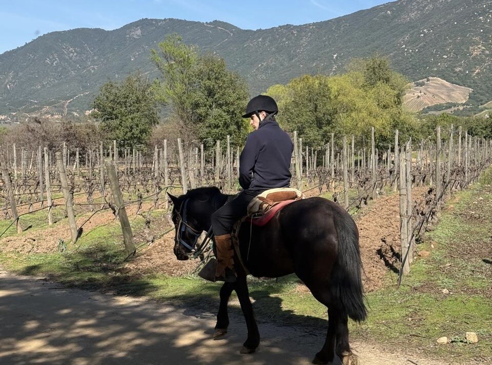 Clos Apalta Residence Chile