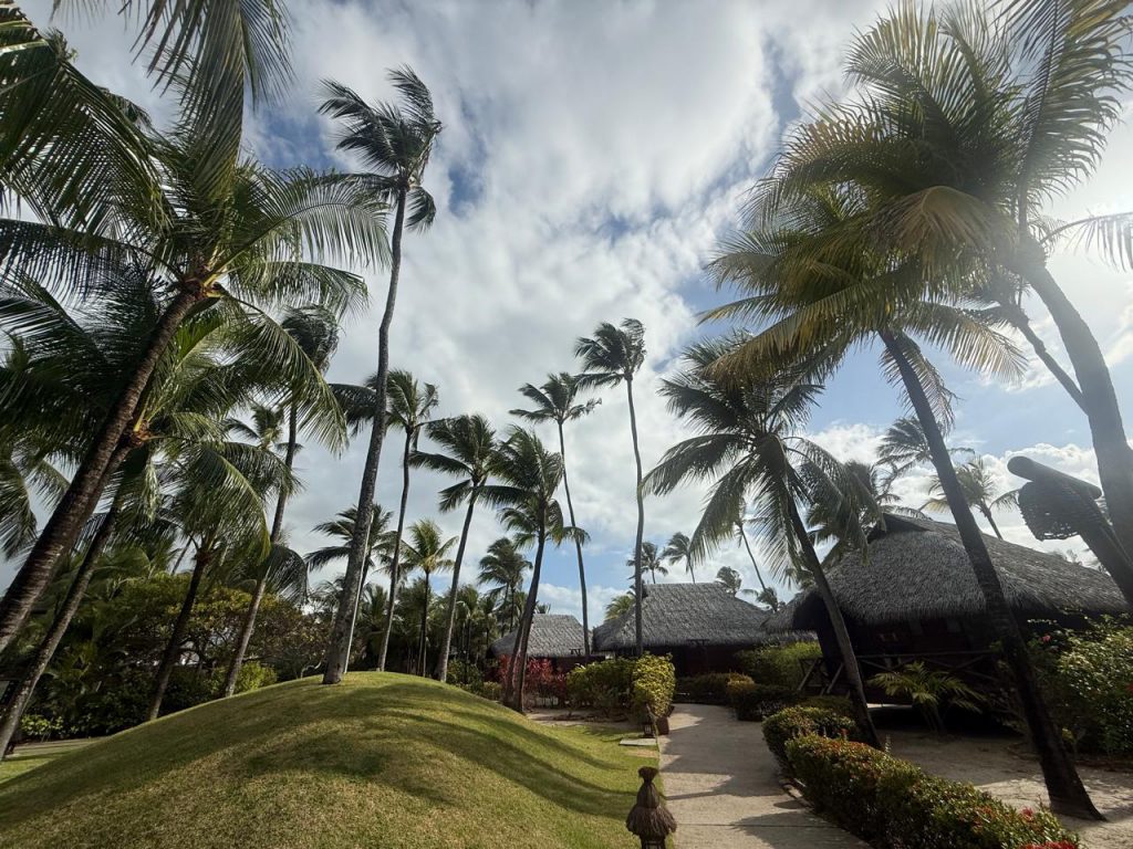NANNAI Muro Alto Porto de Galinhas