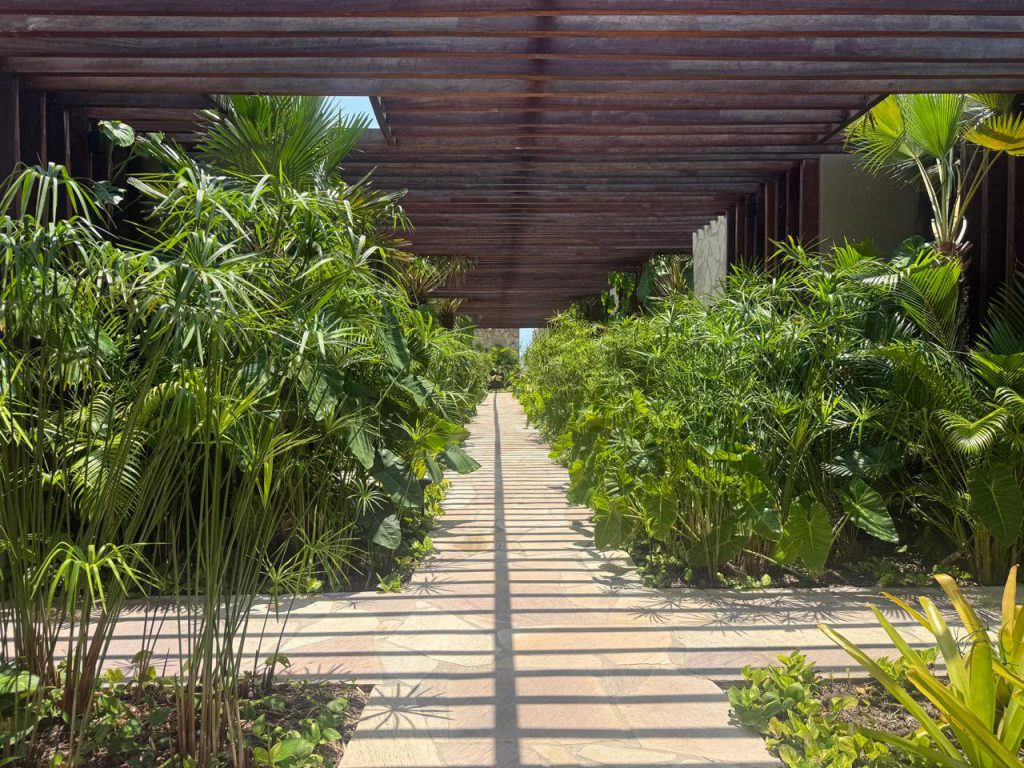 Koloa Concept Hotel Piauí