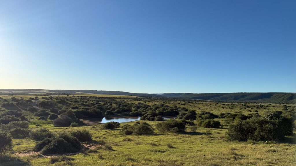 Shamwari Reserve Safári África do Sul
