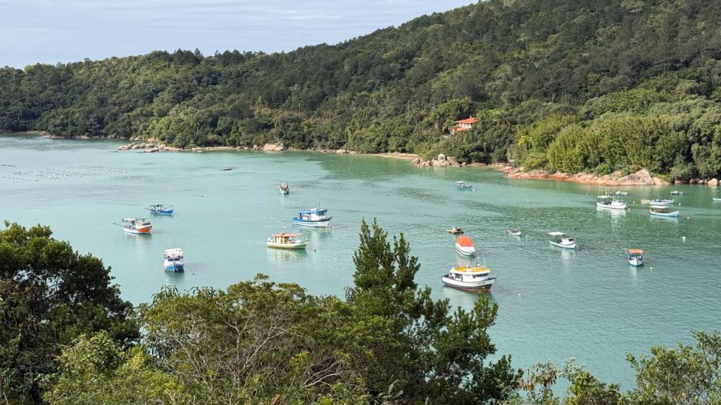 Awasi Santa Catarina